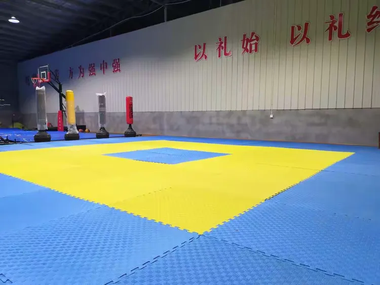 跆拳道夜战:皖南飞鹰队逆转泰山犀牛队,主帅临场妙招球迷期待下一战(跆拳道比赛精彩视频集锦) 跆拳道夜战:皖南飞鹰队逆转泰山犀牛队,主帅临场妙招球迷期待下一战(跆拳道比赛精彩视频集锦)